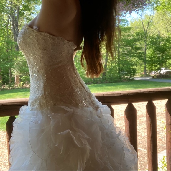 David’s Bridal Wedding Dress - Picture 3 of 12